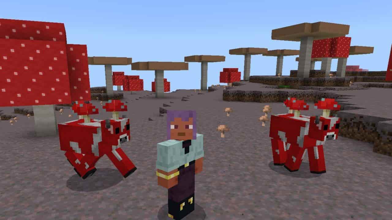 Download Map Mushroom Survival for Minecraft PE