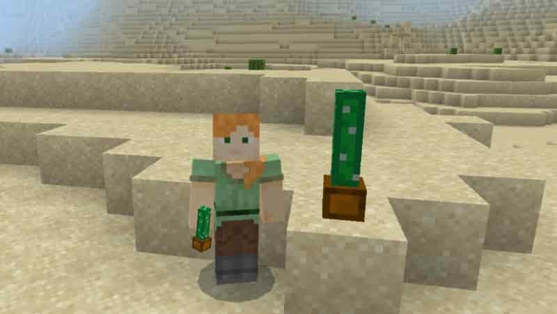 Download Mod Cacty Pot for Minecraft PE