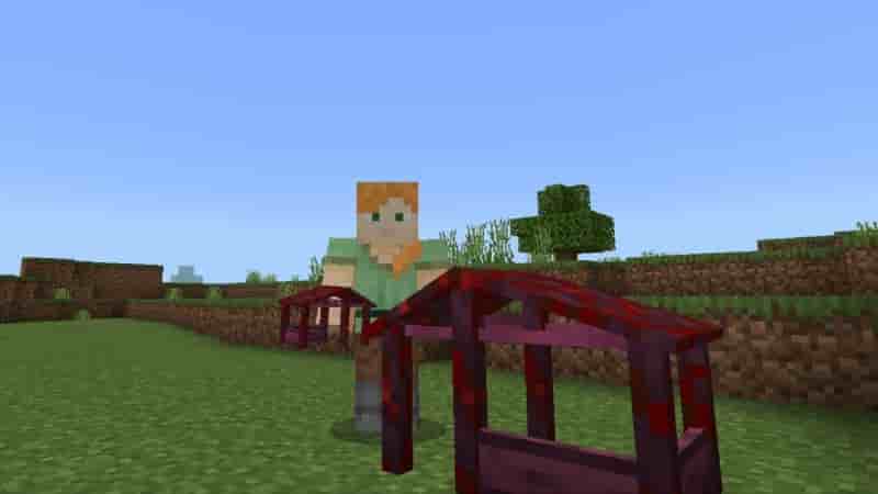 Download Pet Furniture Mod for Minecraft PE