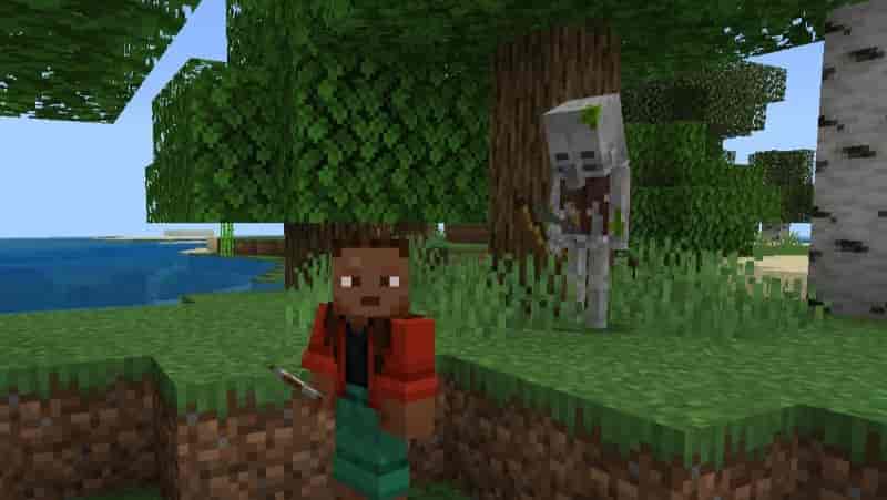 Download Skeleton Villager Mod for Minecraft PE