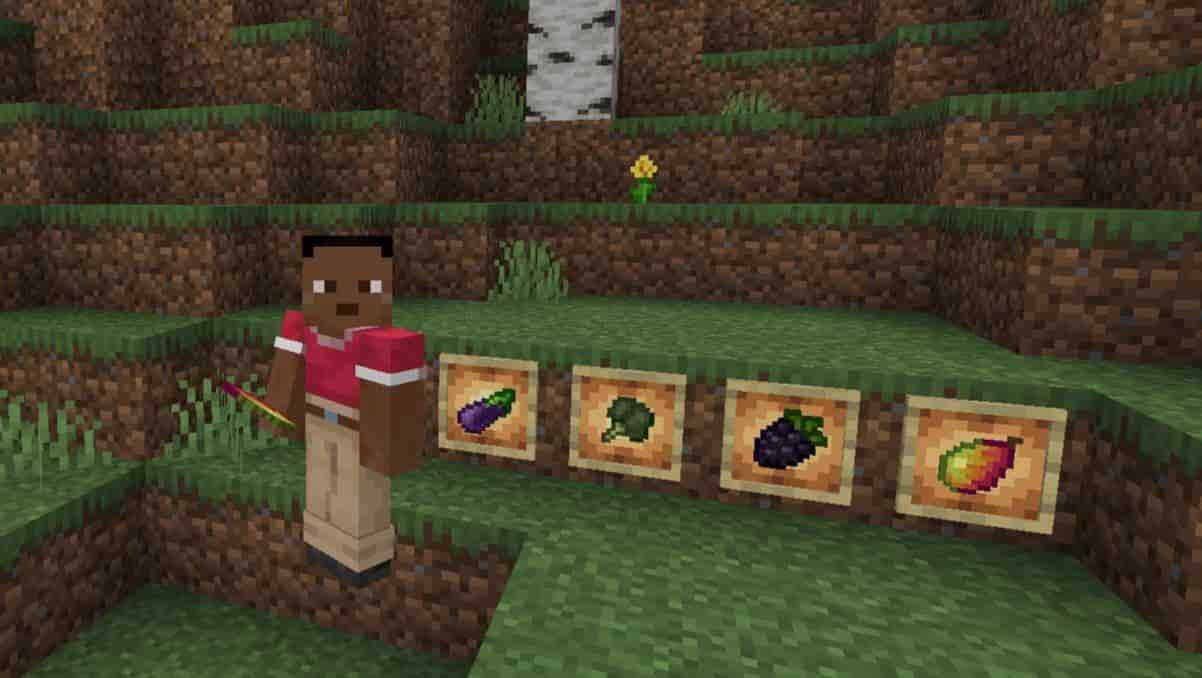 Download Fruits and Vegetables Gourmet Mod for Minecraft PE