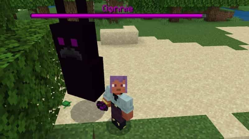 Download Qonnie Mod for Minecraft PE