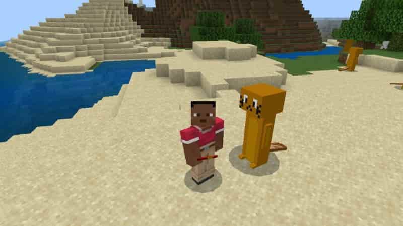 Download Otter Mod for Minecraft PE