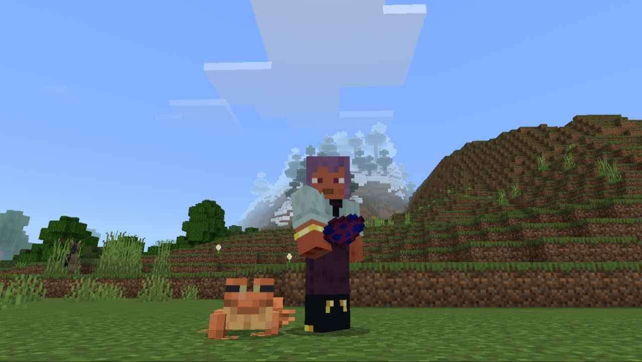 Download More Frogs Mod for Minecraft PE